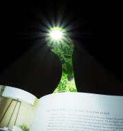 Könyvre csíptethető lámpa Flexilight Cactus