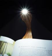 Könyvre csíptethető lámpa Flexilight Wood