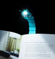 Könyvre csíptethető lámpa Flexilight Bookworm Teal